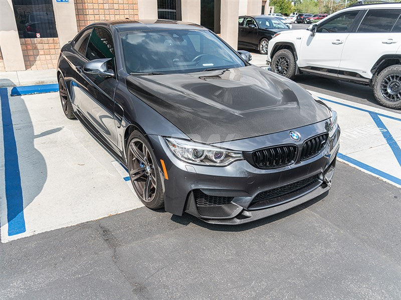 RW Carbon BMW F8X M3/M4 GTS Style CF Front Lip Spoiler-Exterior-Silicon Valley Bimmer
