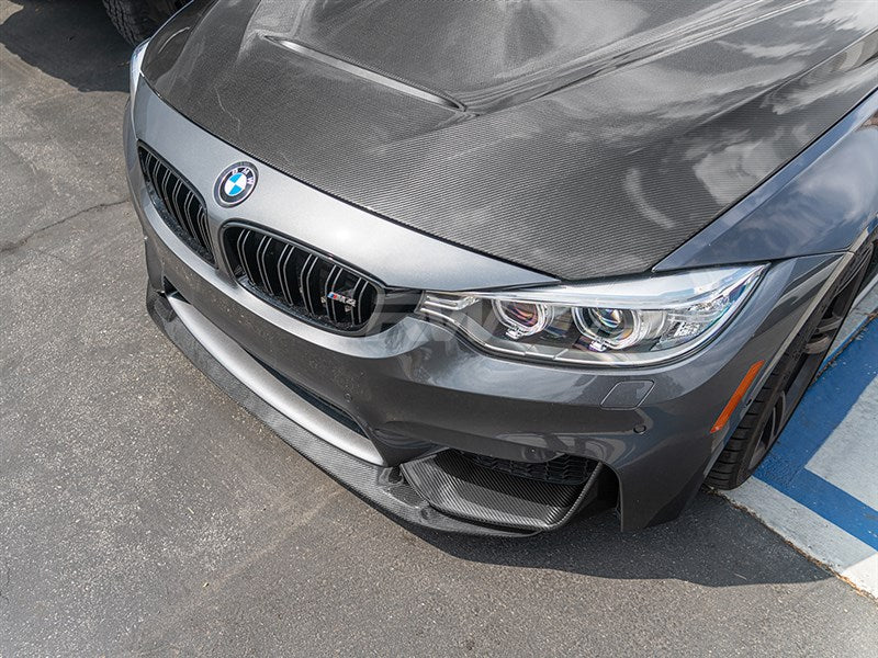 RW Carbon BMW F8X M3/M4 GTS Style CF Front Lip Spoiler