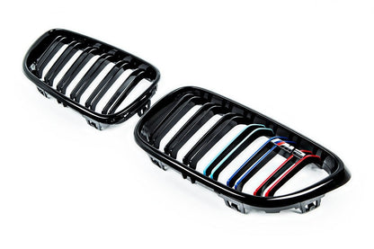 BMW M Performance F87 M2 Front Grille Set