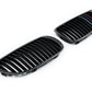 AutoTecknic E9X M3 Carbon Fiber Front Grille Set